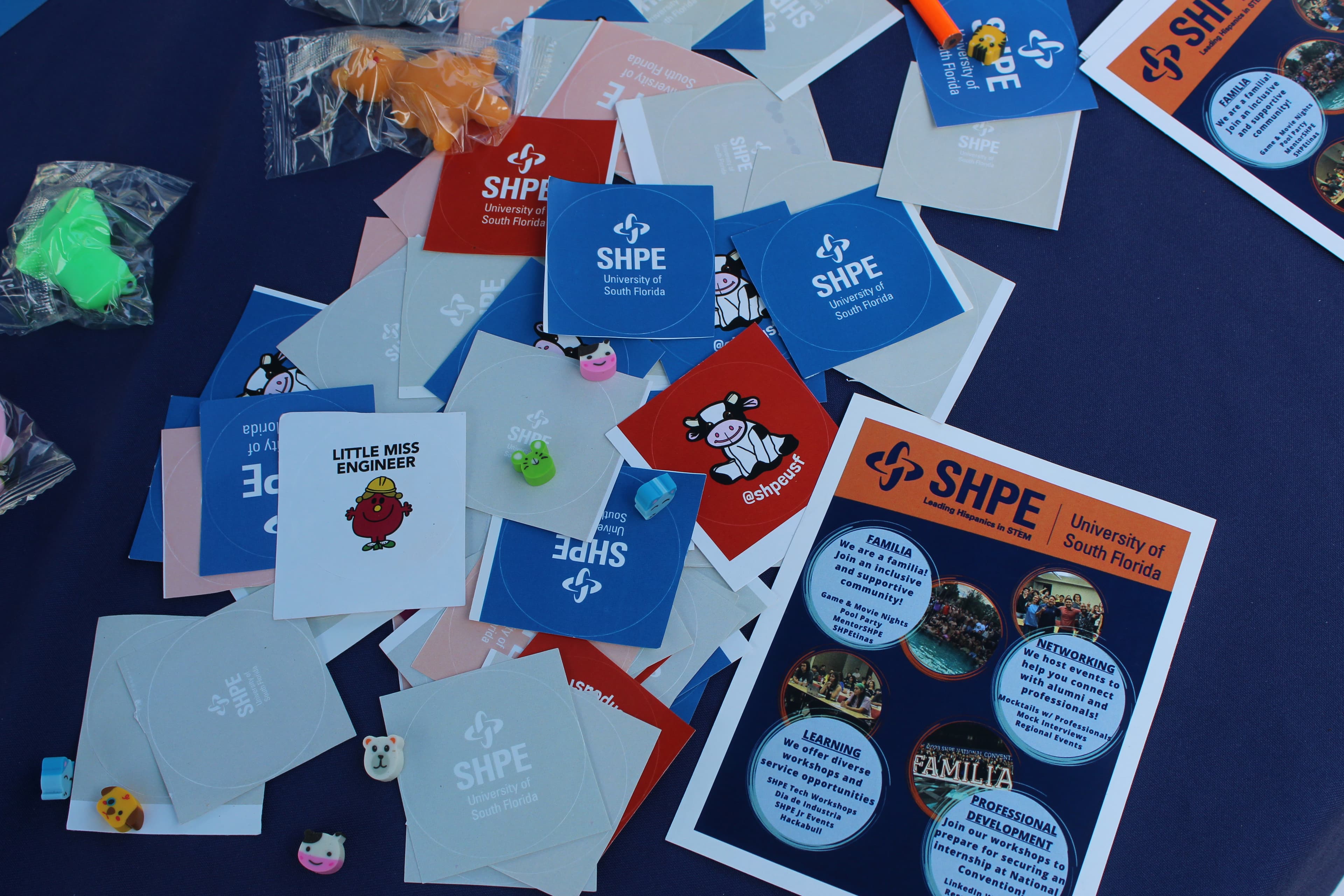 SHPE Shop Background