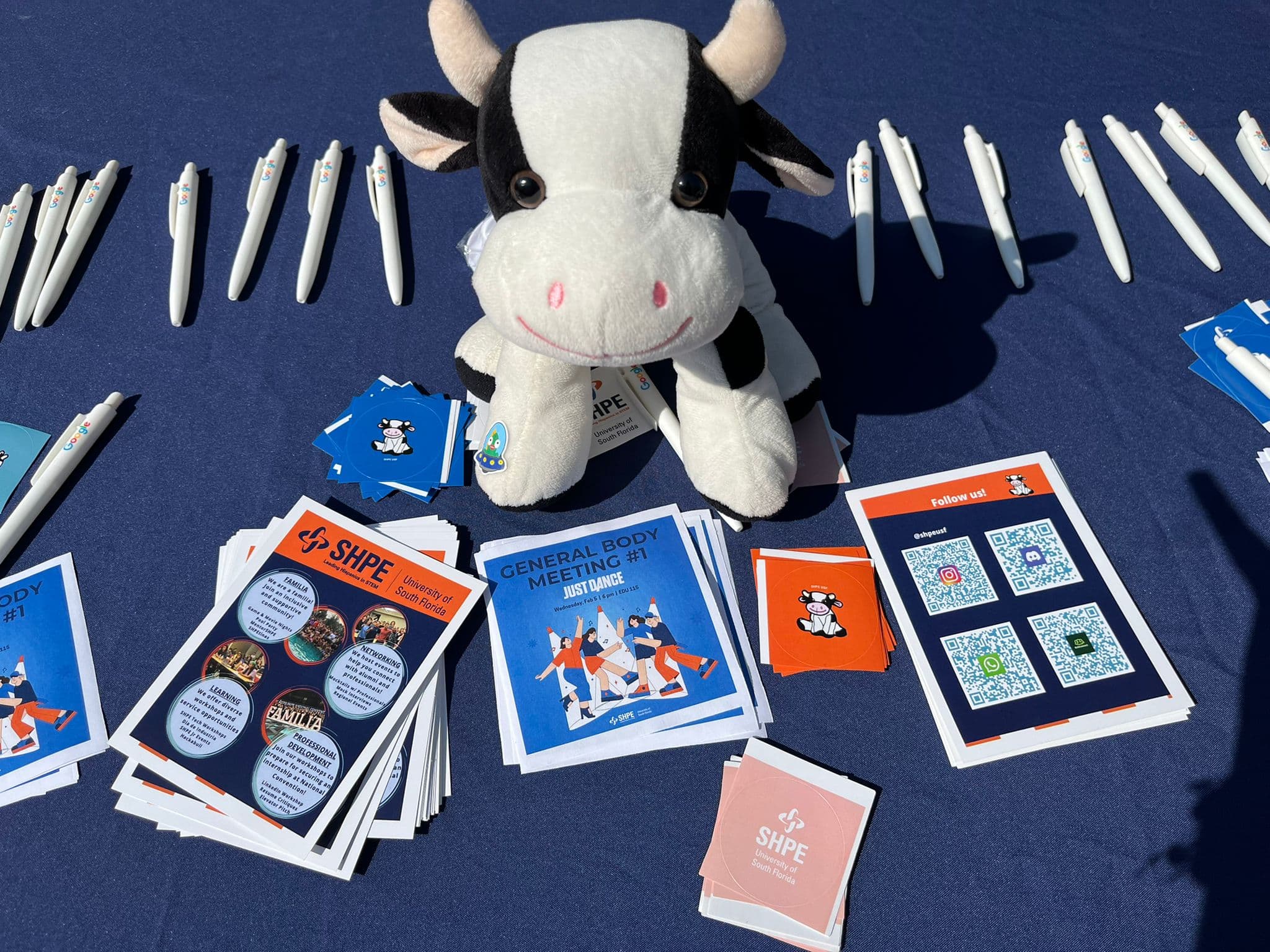 SHPE Torito Background